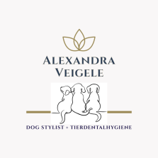 Tierpension, Tierphysiotherapie, Urlaubsbetreuung, Tagesbetreuung Hund, Katze, Versorgung im Krankheitsfall, Tierphysio Albstadt, Tanja Boss, Links