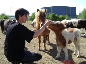 Tierphysiotherapie und Tierpension Tanja Boss﻿ Albstadt Pony
